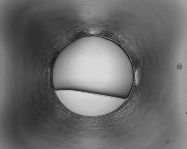 X0000103331443200809051011