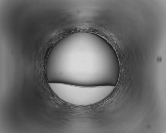 X0000103331445200809051011