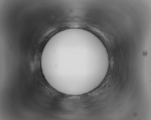 X0000103331446200809051011