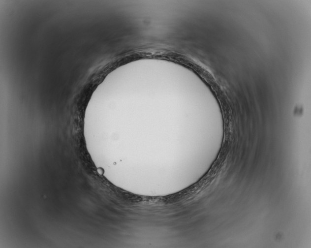 X0000103331447200809051011