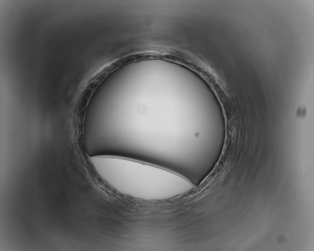 X0000103331448200809051011