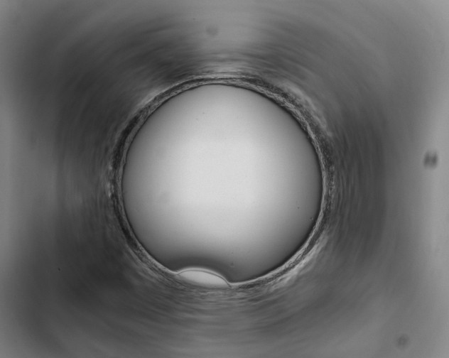 X0000103331449200809051011