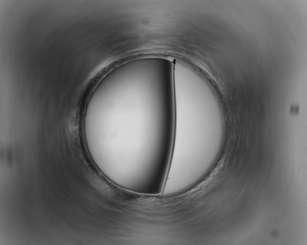 X0000103331450200809051011