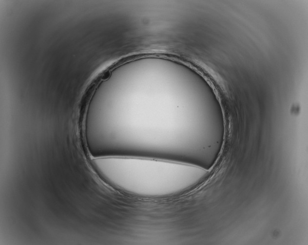 X0000103331452200809051011