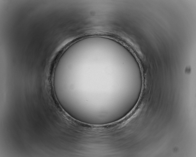 X0000103331453200809051011