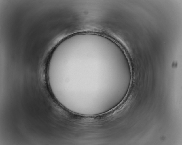 X0000103331455200809051011
