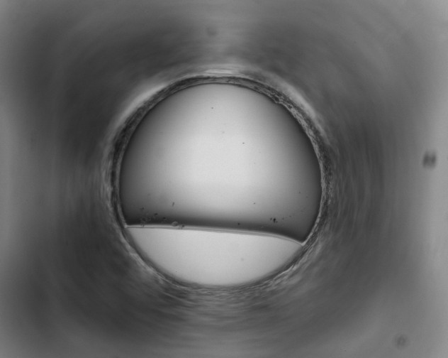 X0000103331456200809051011