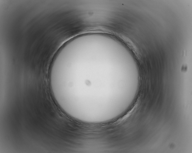 X0000103331457200809051011