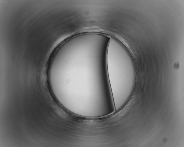 X0000103331458200809051011