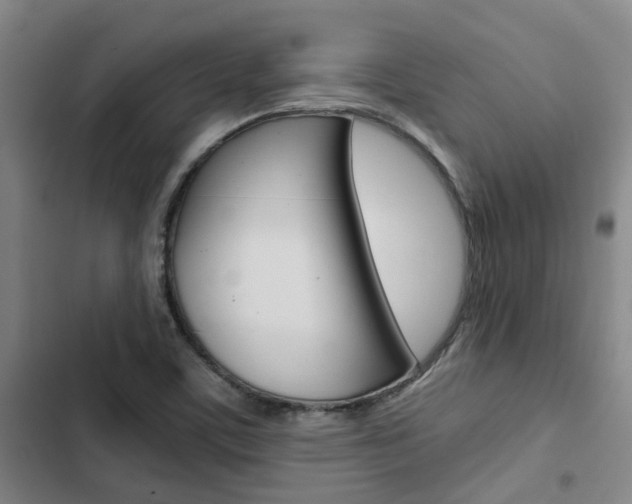 X0000103331459200809051011
