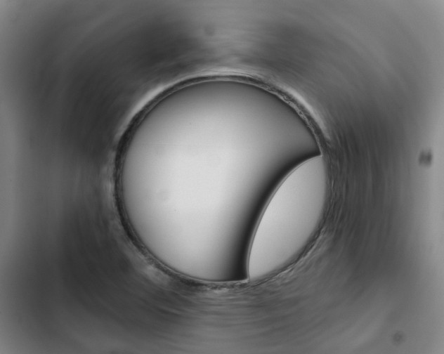X0000103331460200809051011