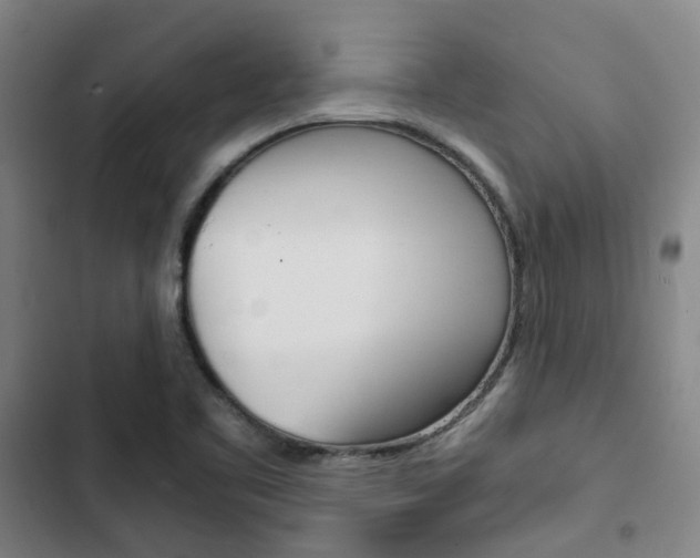 X0000103331461200809051011