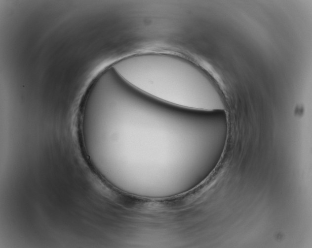 X0000103331463200809051011