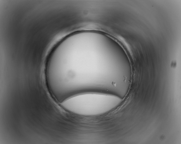 X0000103331464200809051011