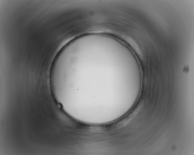 X0000103331465200809051011