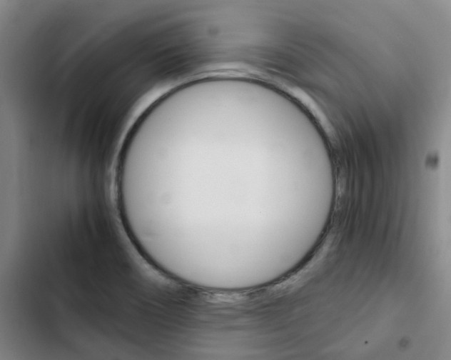 X0000103331466200809051011