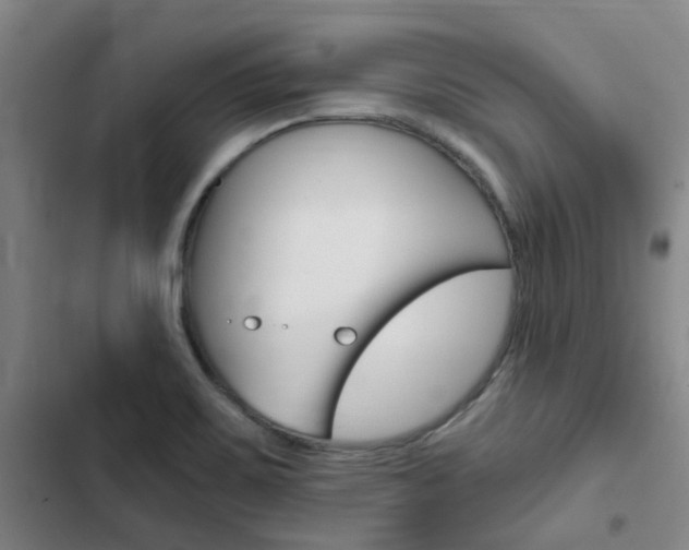 X0000103331467200809051011