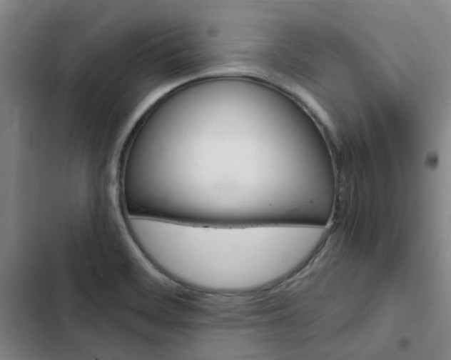 X0000103331468200809051011