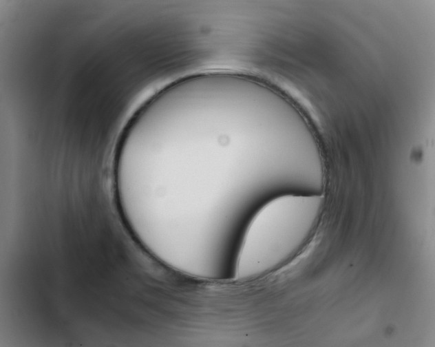 X0000103331469200809051011