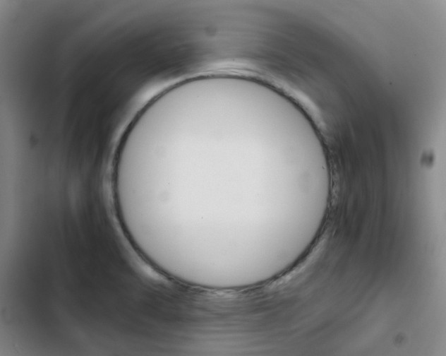 X0000103331470200809051011