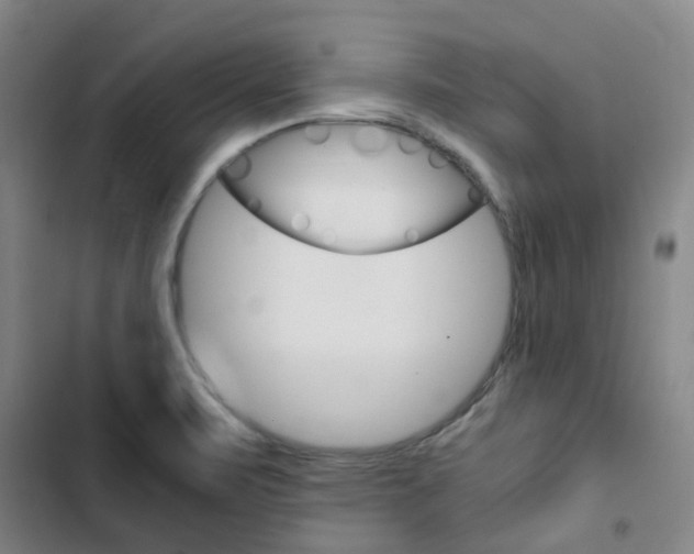 X0000103331471200809051011
