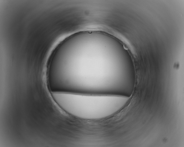 X0000103331472200809051011