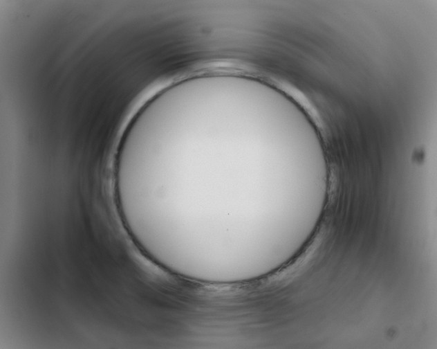 X0000103331474200809051010