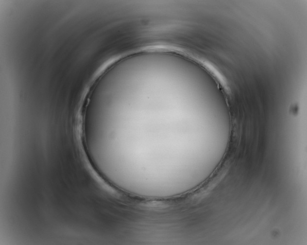 X0000103331476200809051010