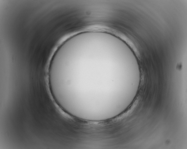 X0000103331478200809051010