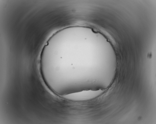 X0000103331479200809051010