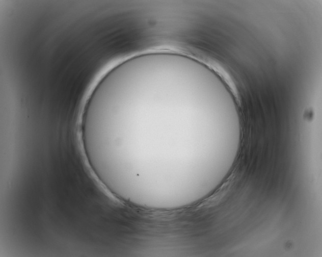 X0000103331480200809051010