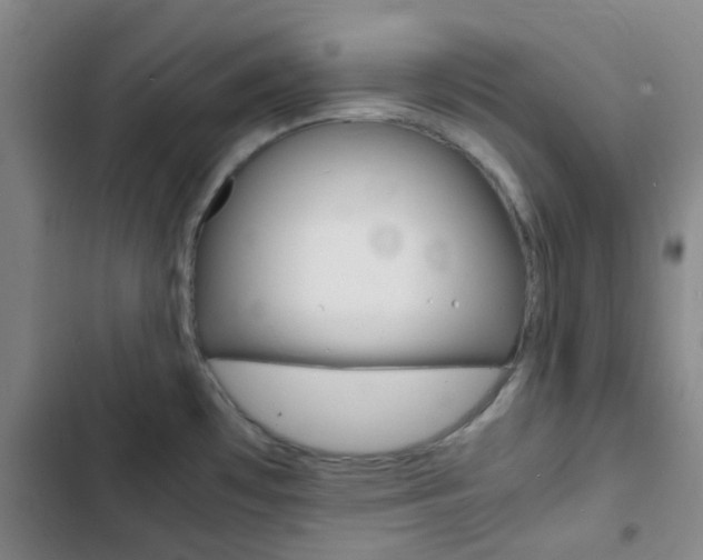 X0000103331481200809051010