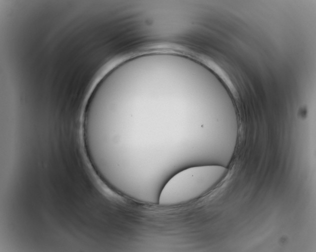 X0000103331482200809051010
