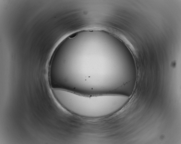 X0000103331484200809051010