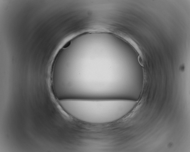 X0000103331485200809051010