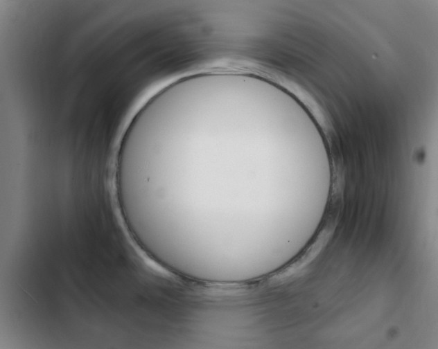 X0000103331486200809051010