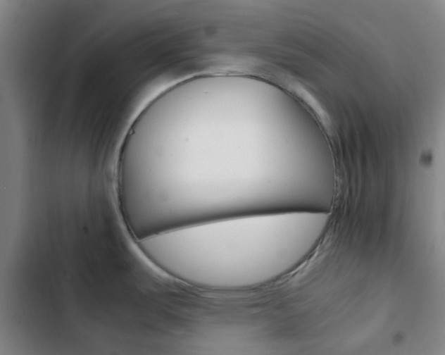 X0000103331487200809051010