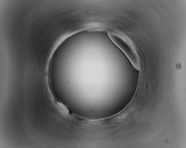 X0000103331488200809051010
