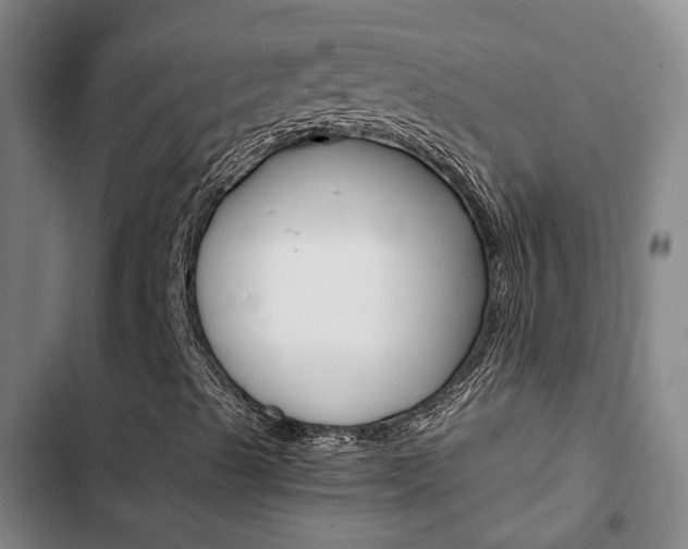 X0000103331489200809051010