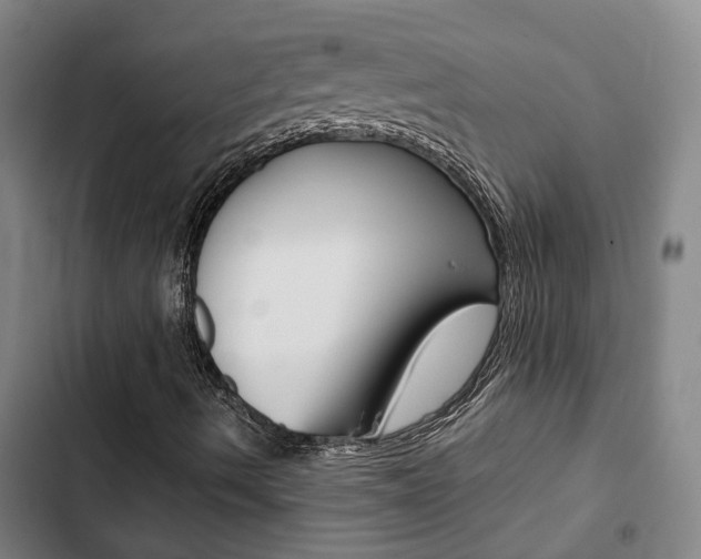 X0000103331490200809051010