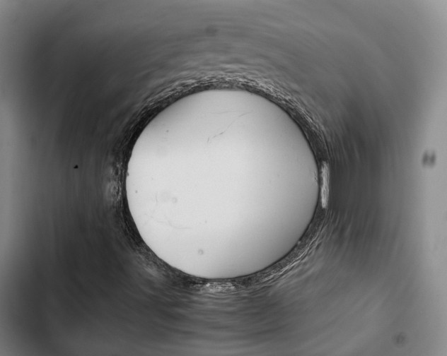X0000103331491200809051010