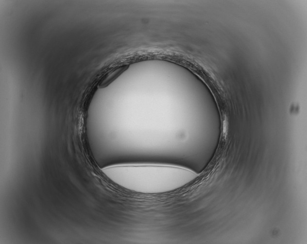 X0000103331492200809051010