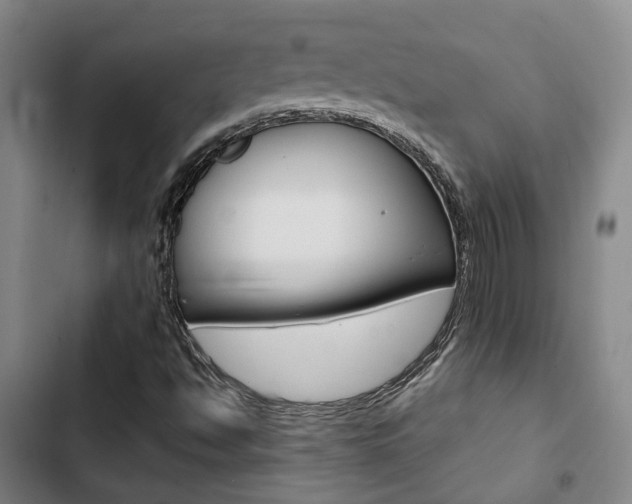 X0000103331494200809051010