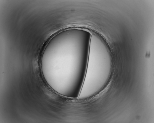 X0000103331497200809051010