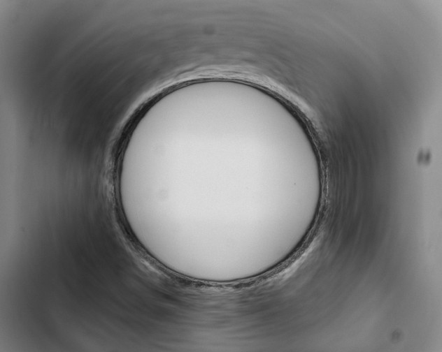 X0000103331498200809051010