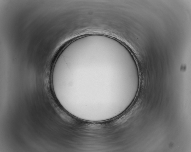 X0000103331499200809051010