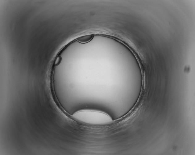 X0000103331500200809051010