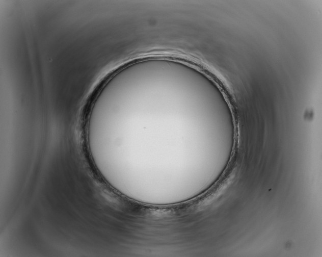 X0000103331501200809051010