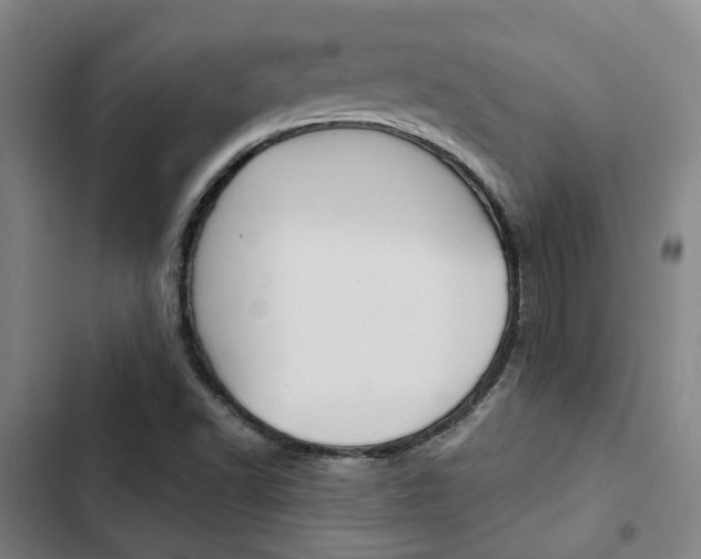 X0000103331502200809051010