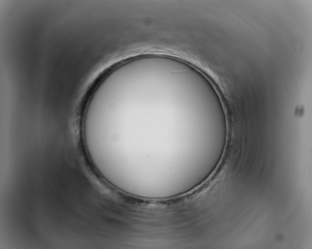 X0000103331503200809051010